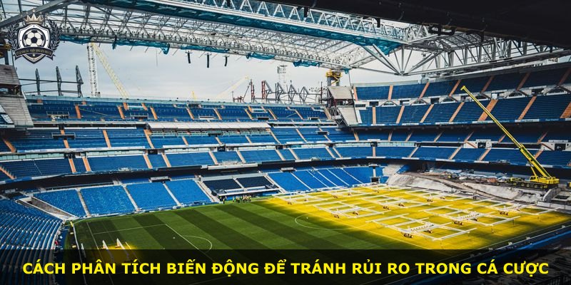 Cách phân tích biến động để tránh rủi ro trong cá cược