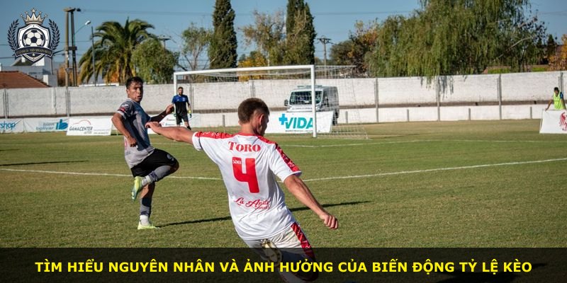 Tìm hiểu nguyên nhân và ảnh hưởng của biến động tỷ lệ kèo