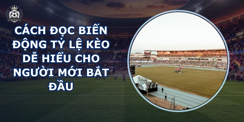 Cách đọc biến động tỷ lệ kèo