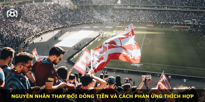 Nguyên nhân thay đổi dòng tiền và cách phản ứng thích hợp