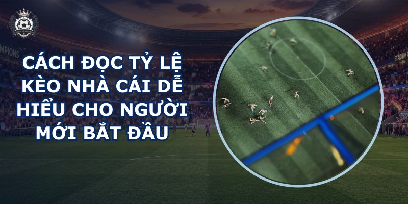 Cách đọc tỷ lệ kèo nhà cái