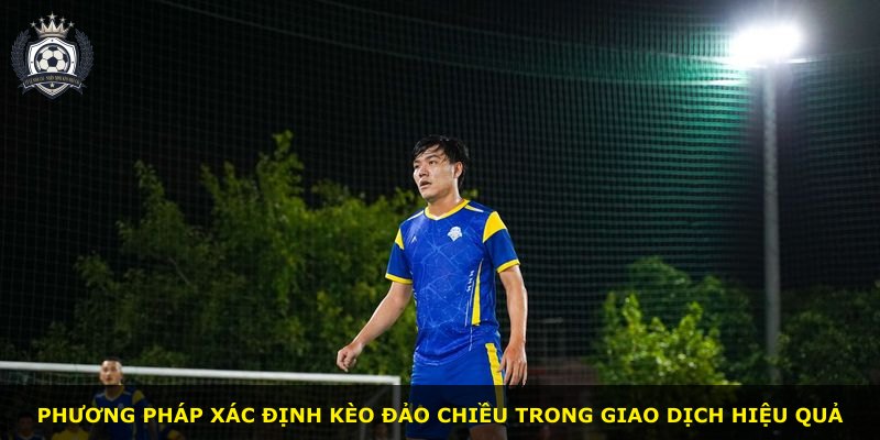 Phương pháp xác định kèo đảo chiều trong giao dịch hiệu quả