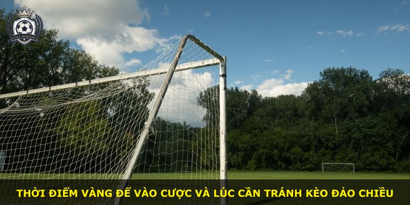 Thời điểm vàng để vào cược và lúc cần tránh kèo đảo chiều