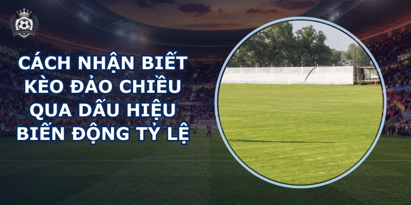 Cách nhận biết kèo đảo chiều