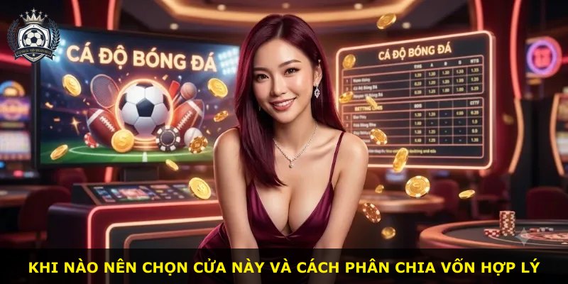 Khi nào nên chọn cửa này và cách phân chia vốn hợp lý