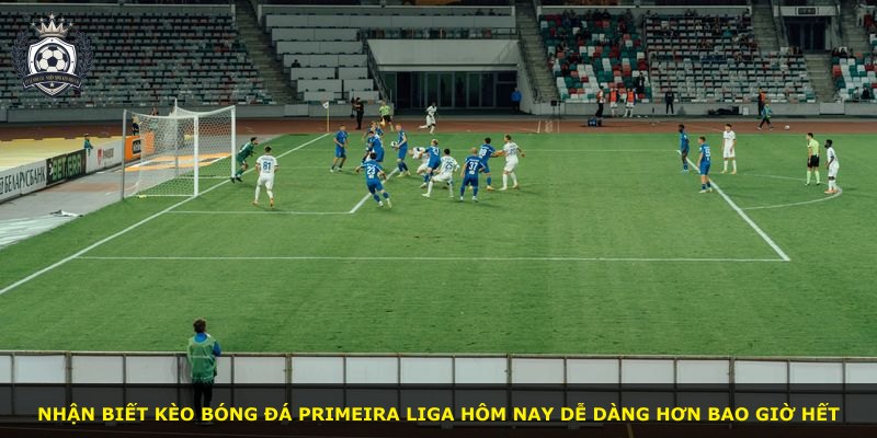 Nhận biết kèo bóng đá Primeira Liga hôm nay dễ dàng hơn bao giờ hết