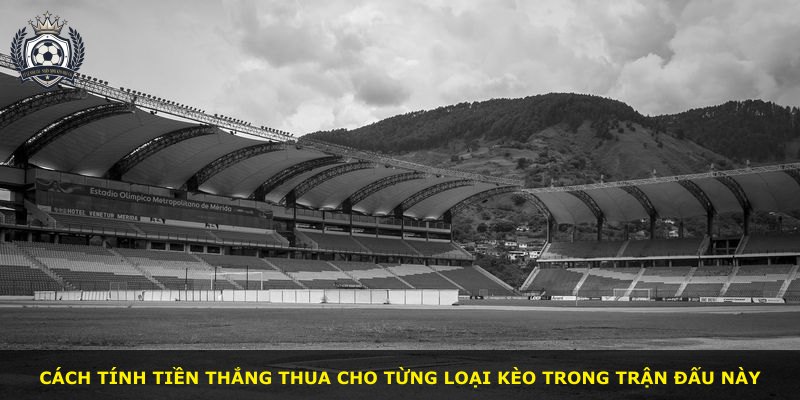Cách tính tiền thắng thua cho từng loại kèo trong trận đấu này