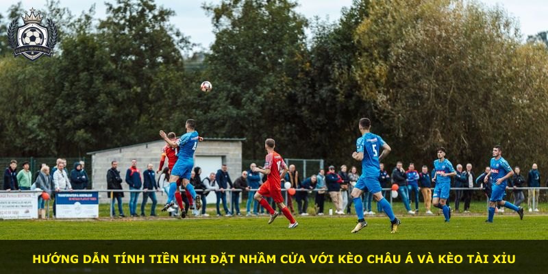 Hướng dẫn tính tiền khi đặt nhầm cửa với kèo châu Á và kèo tài xỉu