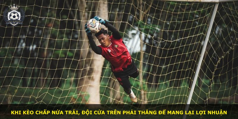 Khi kèo chấp nửa trái, đội cửa trên phải thắng để mang lại lợi nhuận