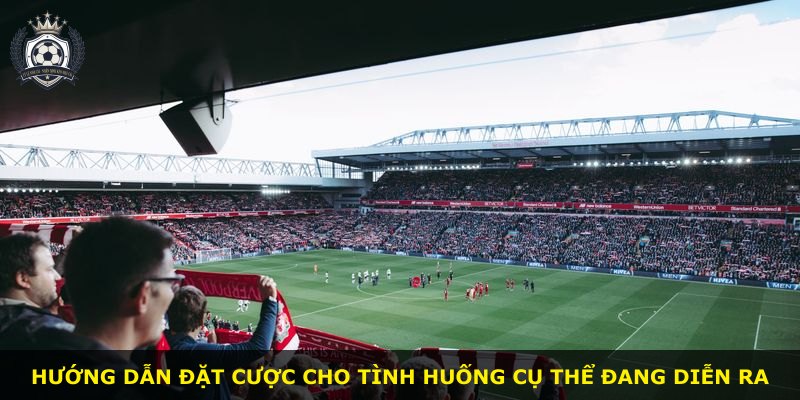 Hướng dẫn đặt cược cho tình huống cụ thể đang diễn ra