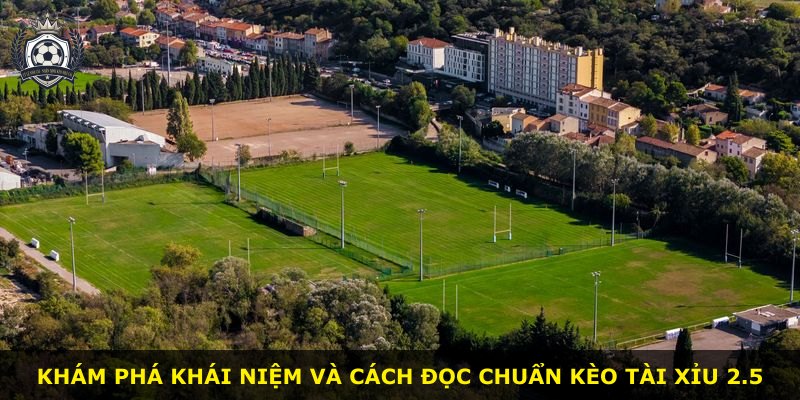 Khám phá khái niệm và cách đọc chuẩn kèo tài xỉu 2.5