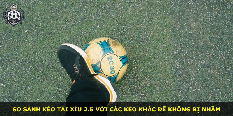 So sánh kèo tài xỉu 2.5 với các kèo khác để không bị nhầm