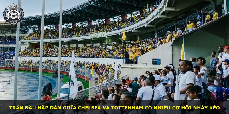 Trận đấu hấp dẫn giữa Chelsea và Tottenham có nhiều cơ hội nhảy kèo