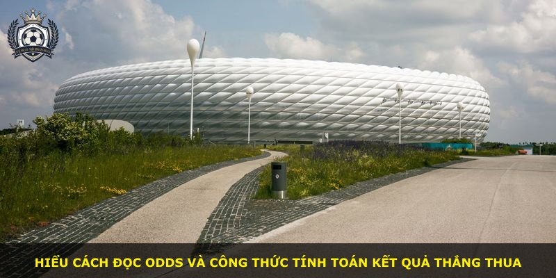 Hiểu cách đọc Odds và công thức tính toán kết quả thắng thua