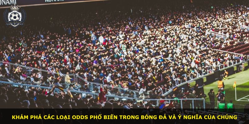 Khám phá các loại Odds phổ biến trong bóng đá và ý nghĩa của chúng