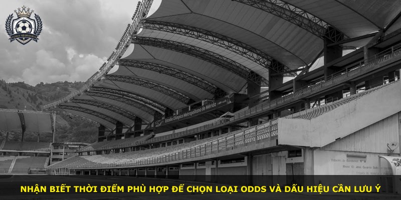 Nhận biết thời điểm phù hợp để chọn loại Odds và dấu hiệu cần lưu ý