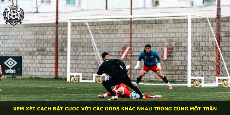 Xem xét cách đặt cược với các Odds khác nhau trong cùng một trận