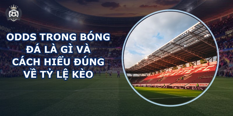 Odds trong bóng đá là gì