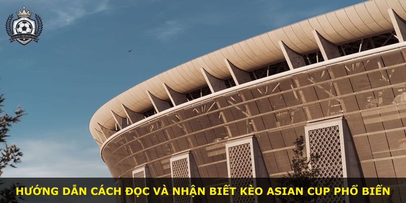 Hướng dẫn cách đọc và nhận biết kèo Asian Cup phổ biến