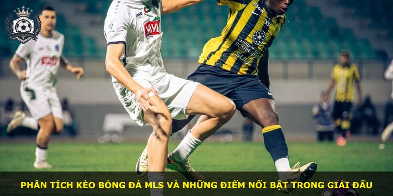 Phân tích kèo bóng đá MLS và những điểm nổi bật trong giải đấu