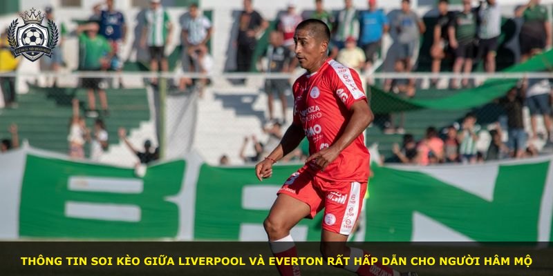 Thông tin soi kèo giữa Liverpool và Everton rất hấp dẫn cho người hâm mộ