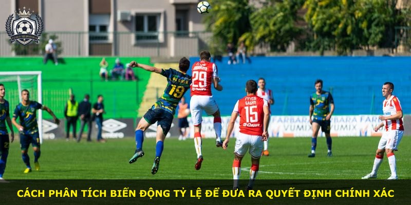 Cách phân tích biến động tỷ lệ để đưa ra quyết định chính xác