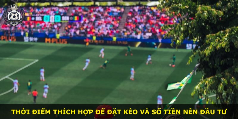 Thời điểm thích hợp để đặt kèo và số tiền nên đầu tư