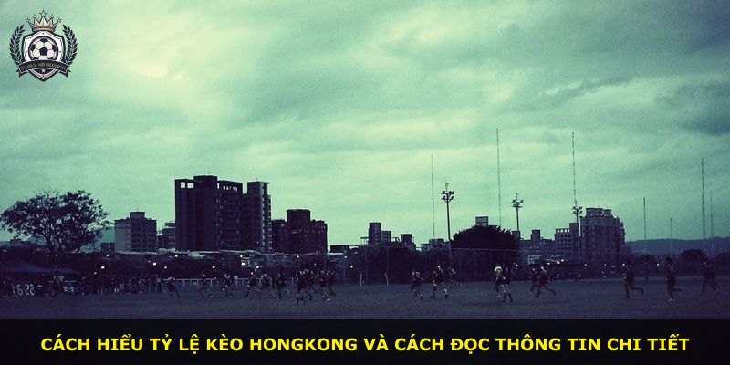 Cách hiểu tỷ lệ kèo Hongkong và cách đọc thông tin chi tiết