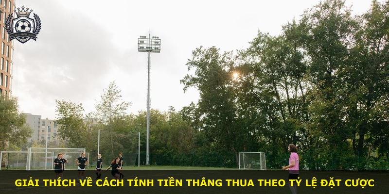 Giải thích về cách tính tiền thắng thua theo tỷ lệ đặt cược