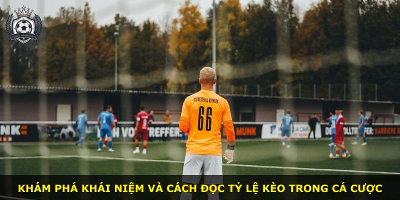 Khám phá khái niệm và cách đọc tỷ lệ kèo trong cá cược