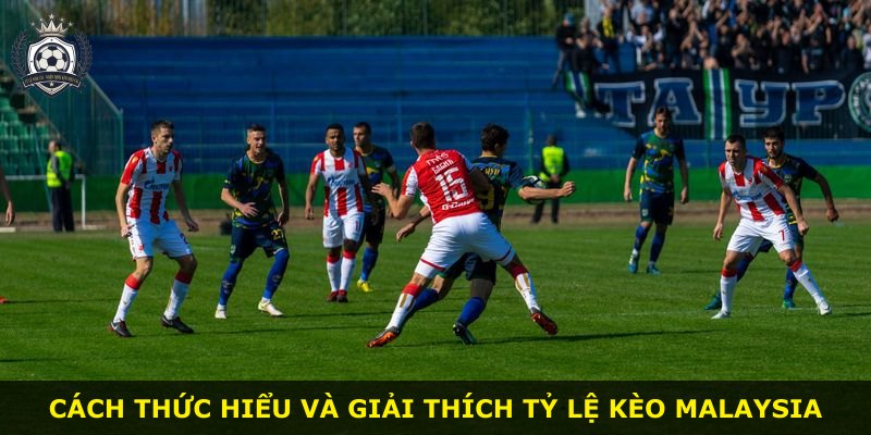 Cách thức hiểu và giải thích tỷ lệ kèo Malaysia