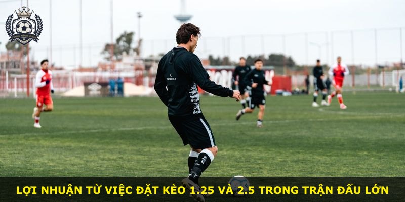 Lợi nhuận từ việc đặt kèo 1.25 và 2.5 trong trận đấu lớn