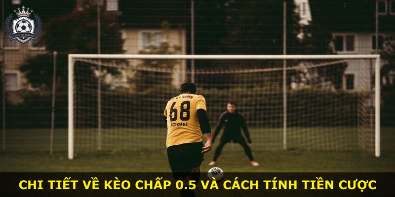Chi tiết về kèo chấp 0.5 và cách tính tiền cược