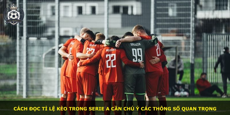 Cách đọc tỉ lệ kèo trong Serie A cần chú ý các thông số quan trọng