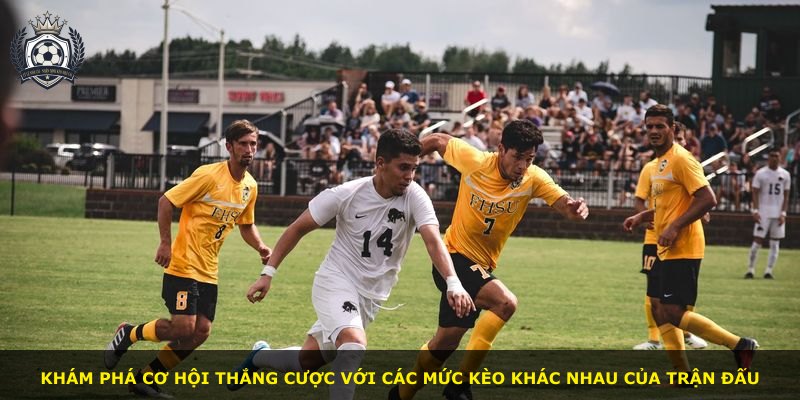Khám phá cơ hội thắng cược với các mức kèo khác nhau của trận đấu