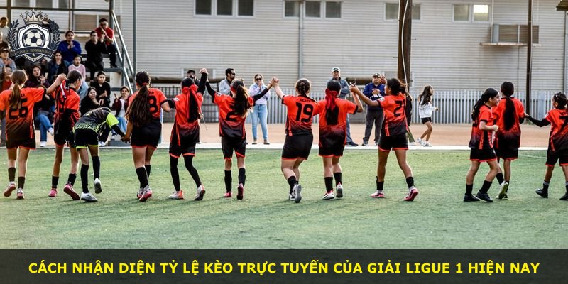 Cách nhận diện tỷ lệ kèo trực tuyến của giải Ligue 1 hiện nay