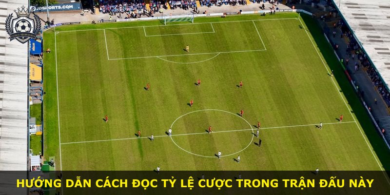 Hướng dẫn cách đọc tỷ lệ cược trong trận đấu này